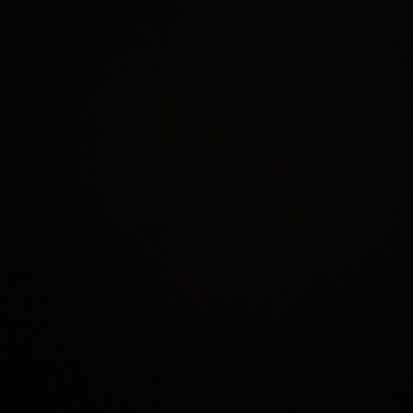 Meet your Posher, Bonita - Picture 1 of 2